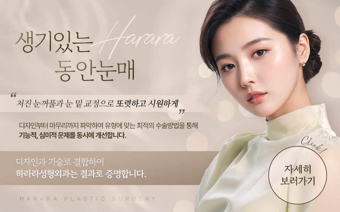 상하안검