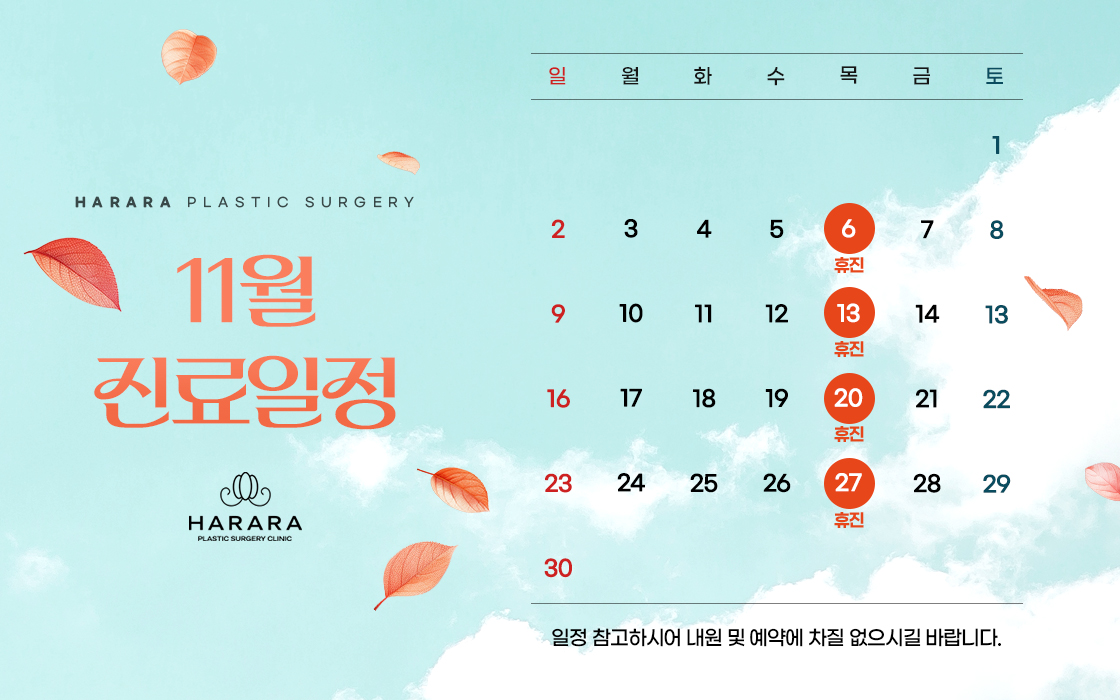 11월진료일정