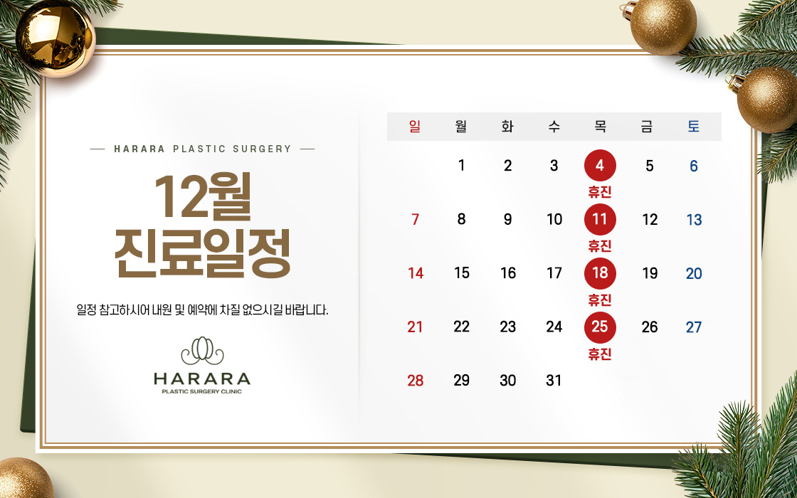 12월진료일정
