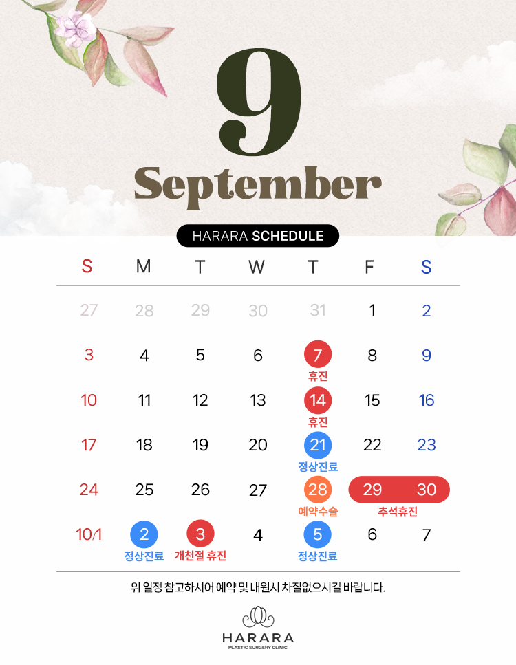 진료일정